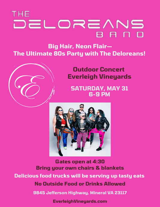 The Deloreans in Concert!
