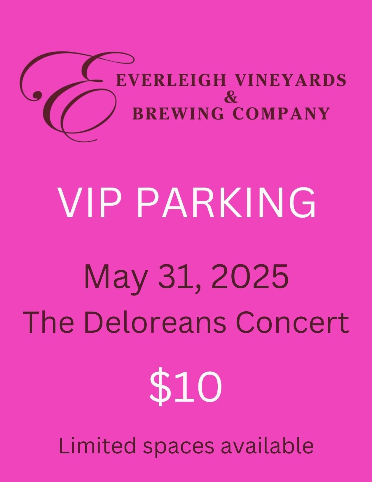 VIP Parking Delorean Concert